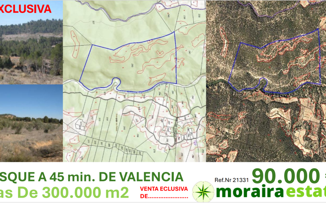 OPORTUNIDAD.. BOSQUE a 45 minutos de VALENCIA, Mas de 300.000m2