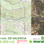 OPORTUNIDAD.. BOSQUE a 45 minutos de VALENCIA, Mas de 300.000m2