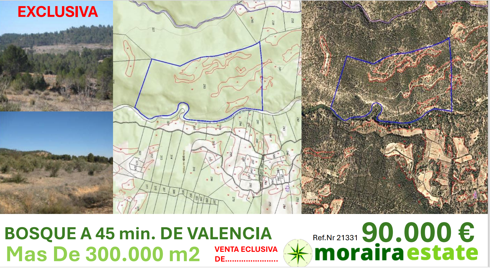 OPORTUNIDAD.. BOSQUE a 45 minutos de VALENCIA, Mas de 300.000m2